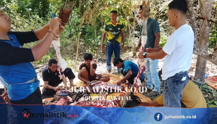 Merawat Kerukunan di Pelosok Papua Barat: Paket Daging sebagai Simbol Toleransi