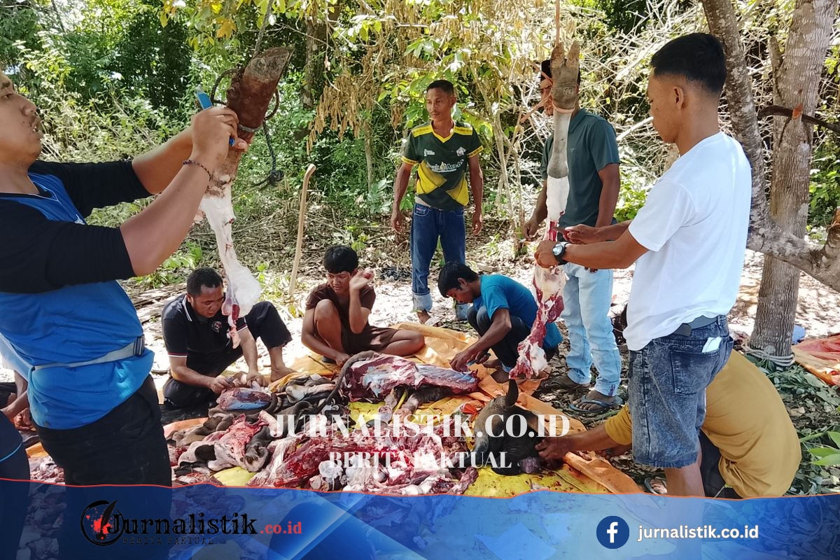 Merawat Kerukunan di Pelosok Papua Barat, Paket Daging Jadi Simbol Toleransi Regional 12 Juni 2026