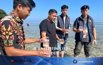 Bongkar Jual Beli Ilegal, Polisi Sita 9.000 Benih Lobster Senilai Rp1,3 M di Pesisir Barat Regional 14 Juni 2026