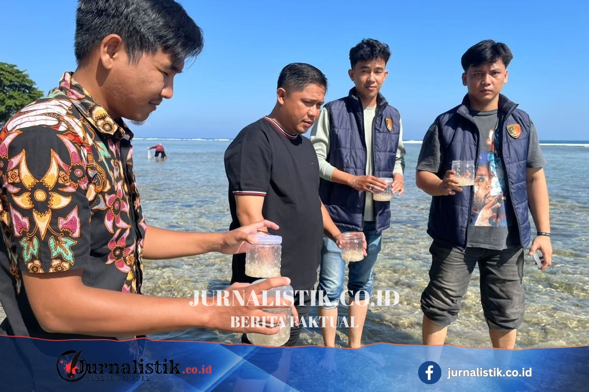 Bongkar Jual Beli Ilegal, Polisi Sita 9.000 Benih Lobster Senilai Rp1,3 M di Pesisir Barat Regional 14 Juni 2026
