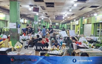 Kelangkaan Bunga Mawar di Rawa Belong Jakbar Bikin Harga Tembus Rp 150.000 per Ikat News 14 Juni 2026