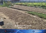 Pengolahan Limbah Kepala Ikan Tongkol Bisa Kurangi Sampah Organik hingga Jutaan Ton News 16 Juni 2026