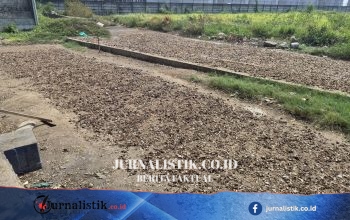 Pengolahan Limbah Kepala Ikan Tongkol Bisa Kurangi Sampah Organik hingga Jutaan Ton News 16 Juni 2026