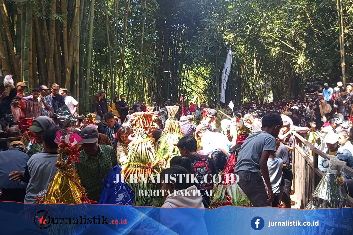 Gunung Semeru Erupsi 40 Kali, Warga Lereng Tetap Gelar Tradisi 1 Suro Pendem Sirah Lembu Regional 16 Juni 2026