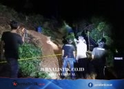 Longsor di Tambang Emas Ilegal Aceh Jaya Tewaskan 3 Penambang, 4 Luka-luka Regional 16 Juni 2026