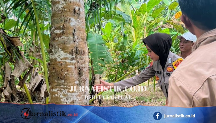 Hewan Diduga Beruang Resahkan Warga Tanggamus, Lampung; Polisi Temukan Bekas Cakaran