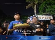 Mural hingga Topo Bisu, Suara Suporter demi PSIM Kembali ke Mandala Krida Yogyakarta Regional 17 Juni 2026