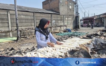 Bisnis Tulang Ikan di Jakut: Dibeli Rp 4.500, Dijual hingga Rp 65.000 News 17 Juni 2026
