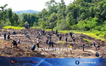 Otorita IKN Petakan Kelompok Tani "Jadi-jadian", Tertibkan Perambahan Tahura Bukit Suharto Regional 18 Juni 2026