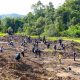 Otorita IKN Petakan Kelompok Tani “Jadi-jadian” untuk Menertibkan Perambahan Tahura Bukit Suharto