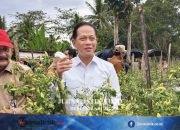 Tak Cukup Anggaran Besar, Pemerintah Perketat Mitigasi Proyek Strategis Money 26 Juni 2026