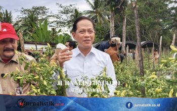 Anggaran Besar Belum Cukup, Pemerintah Perketat Mitigasi Proyek Strategis