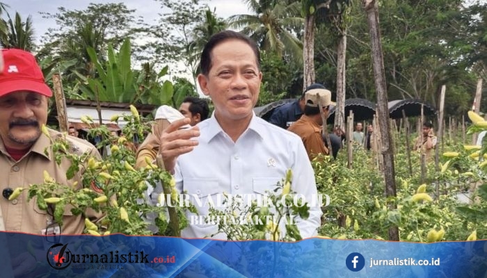 Anggaran Besar Belum Cukup, Pemerintah Perketat Mitigasi Proyek Strategis