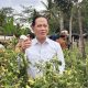 Anggaran Besar Belum Cukup, Pemerintah Perketat Mitigasi Proyek Strategis