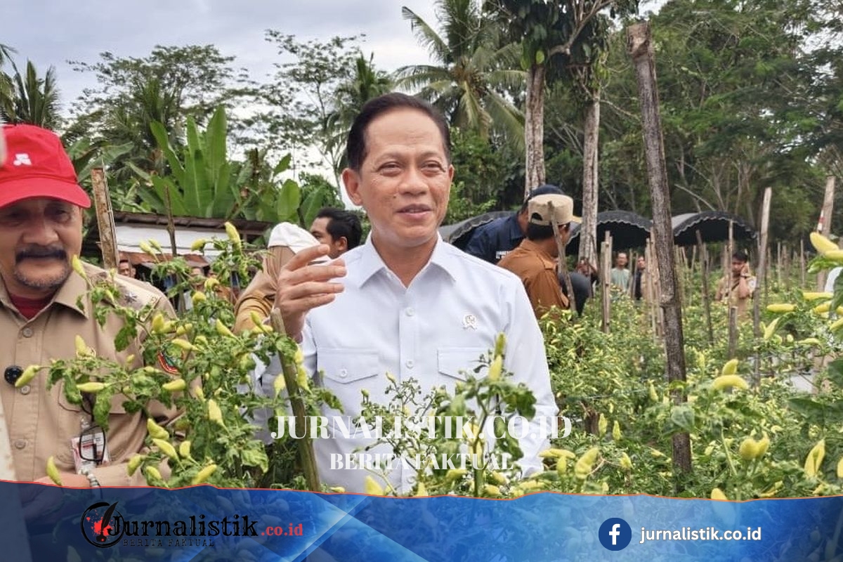 Tak Cukup Anggaran Besar, Pemerintah Perketat Mitigasi Proyek Strategis Money 26 Juni 2026