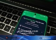 Tak Perlu Bayar Rp 13.900 Dulu, WhatsApp Plus Bisa Dicoba Gratis di Indonesia, Begini Caranya Tekno 24 Juni 2026