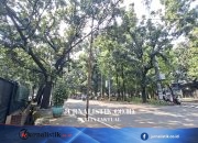 PLN Sampaikan Dukacita Usai Siswi SMAN 6 Jakarta Tewas akibat Motor Tersangkut Kabel News 20 Juni 2026