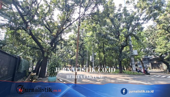 PLN Sampaikan Dukacita setelah Siswi SMAN 6 Jakarta Tewas Usai Motor Tersangkut Kabel