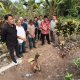 Walau Berdamai, Kasus Bocah MAS (9) Tewas Diserang Anjing Pemburu di Jasinga, Bogor Tetap Berlanjut