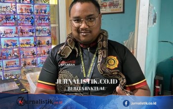 Dari Evakuasi ke Media Edukasi: Koleksi Ular di Markas Damkar Kota Semarang