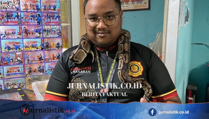 Dari Evakuasi ke Media Edukasi: Koleksi Ular di Markas Damkar Kota Semarang