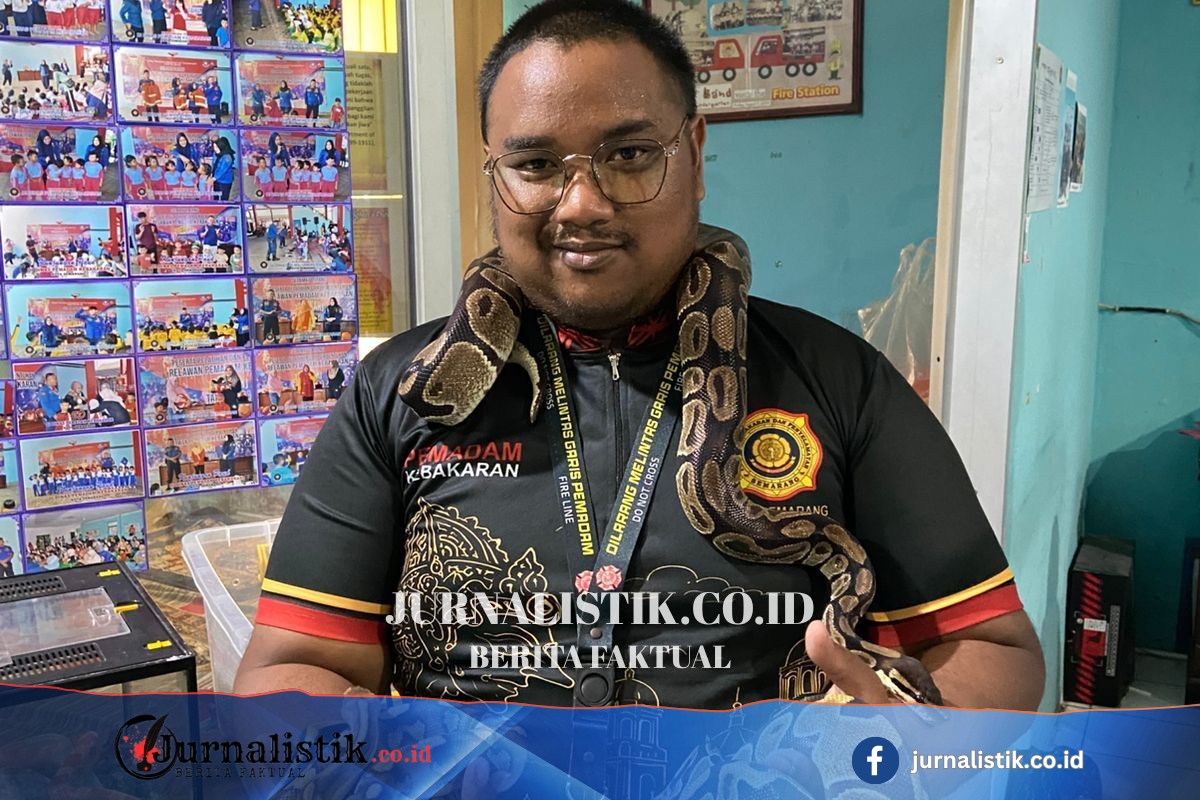 Dari Hasil Evakuasi Menjadi Media Edukasi, Kisah Koleksi Ular di Markas Damkar Semarang Regional 20 Juni 2026