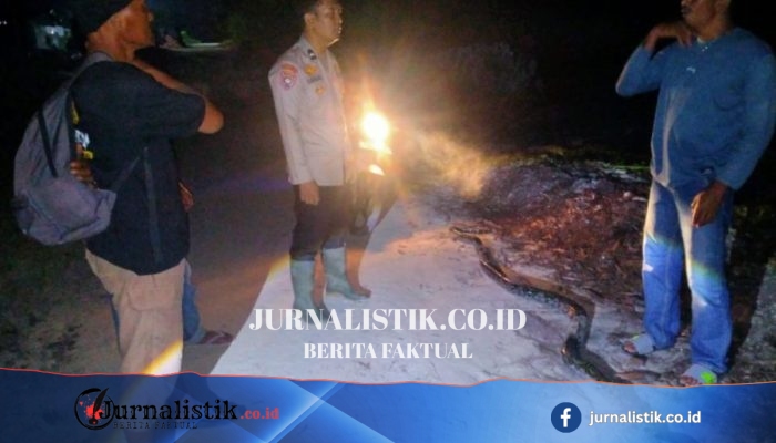 Nekat Tangkap Piton 4 Meter di Rokan Hilir, Pria Kritis Setelah Dililit di Badan dan Leher