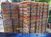 Dapur MBG Libur, Harga Telur dan Daging Ayam di Pangandaran Turun Regional 26 Juni 2026