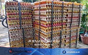 Dapur MBG Libur, Harga Telur dan Daging Ayam di Pangandaran Turun