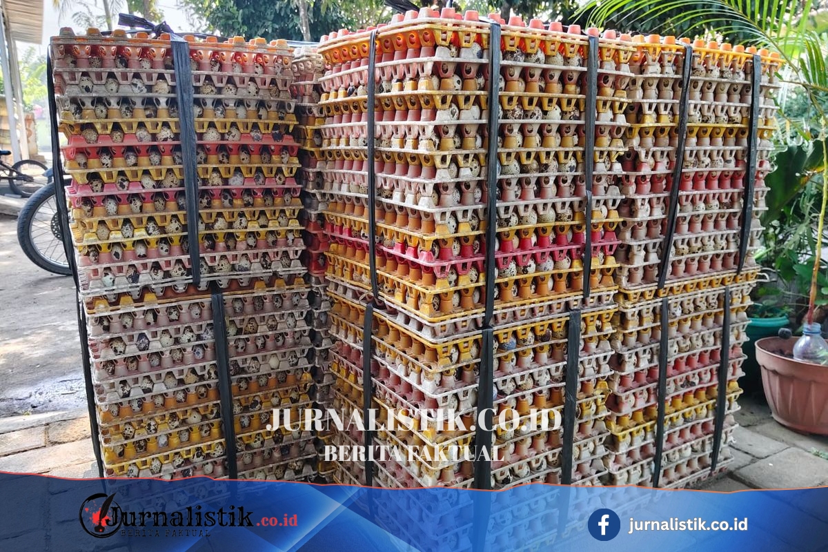 Dapur MBG Libur, Harga Telur dan Daging Ayam di Pangandaran Turun Regional 26 Juni 2026