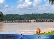 Temukan 300 Rakit Tambang Emas Ilegal, Walhi Pertanyakan Keseriusan Polda Jambi Regional 21 Juni 2026