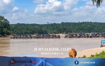 Walhi Temukan 300 Rakit Tambang Emas Ilegal, Pertanyakan Keseriusan Polda Jambi