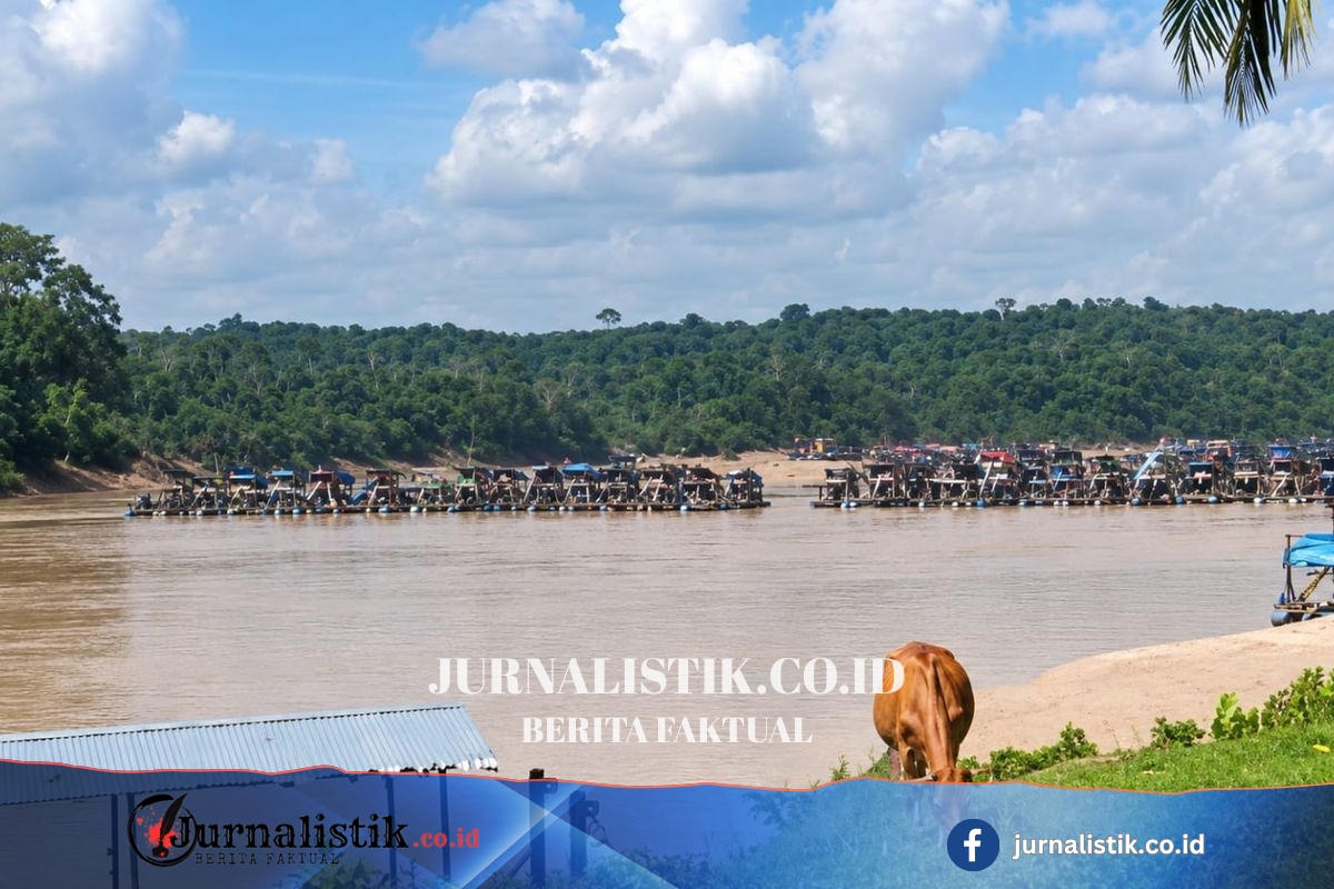Temukan 300 Rakit Tambang Emas Ilegal, Walhi Pertanyakan Keseriusan Polda Jambi Regional 21 Juni 2026