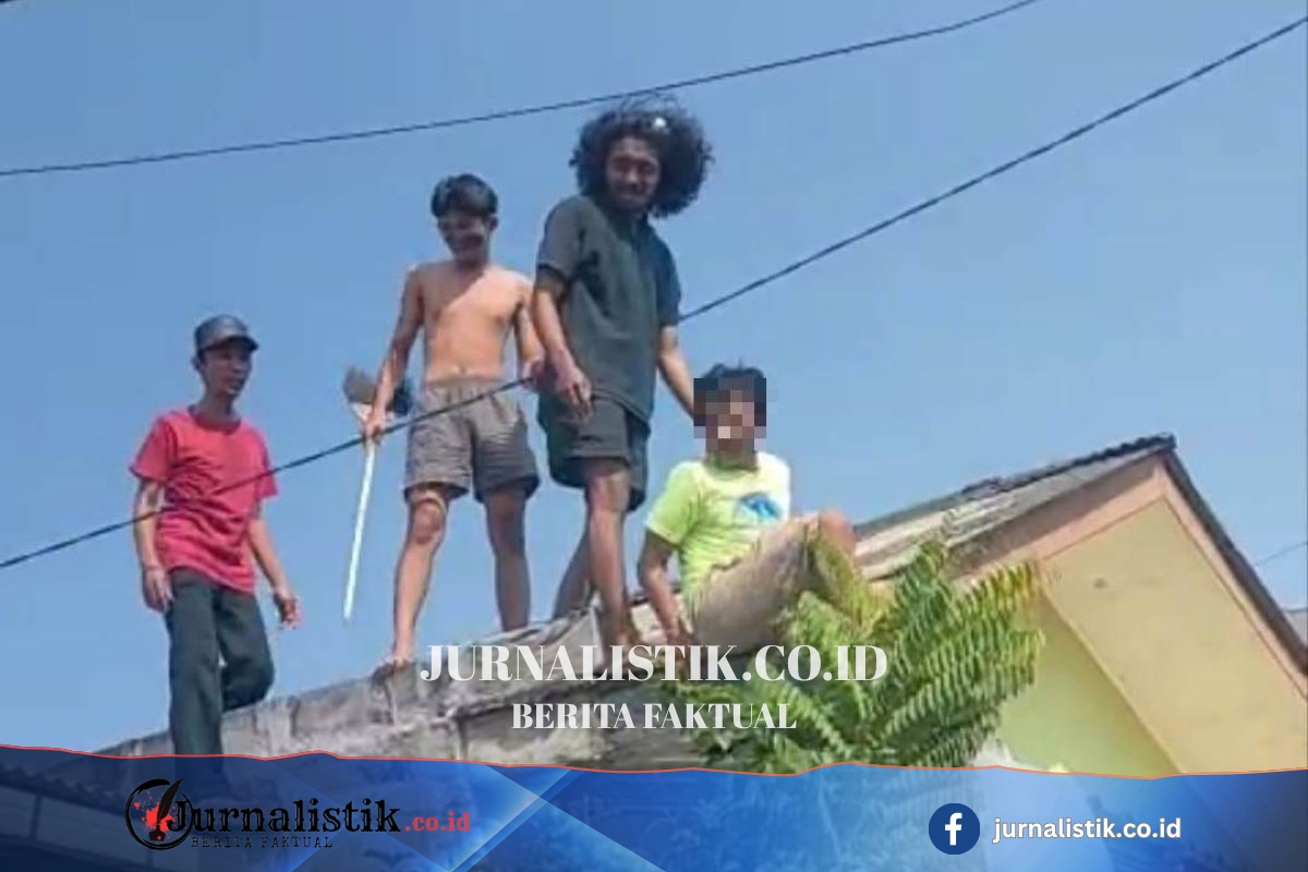 Pelaku Pencabulan Anak Kabur ke Atap, Warga Pulogebang Jaktim Gunakan Drone untuk Melacak News 22 Juni 2026