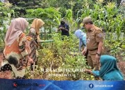 Transformasi Lahan Kumuh di Jakut: Jadi Kebun Produktif yang Hasilkan Sayur Gratis News 22 Juni 2026