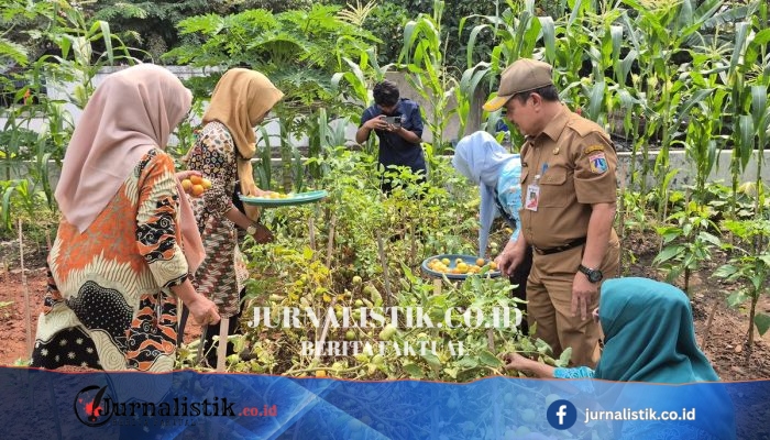 Transformasi Lahan Kumuh di Jakut Jadi Kebun Produktif Penghasil Sayur Gratis