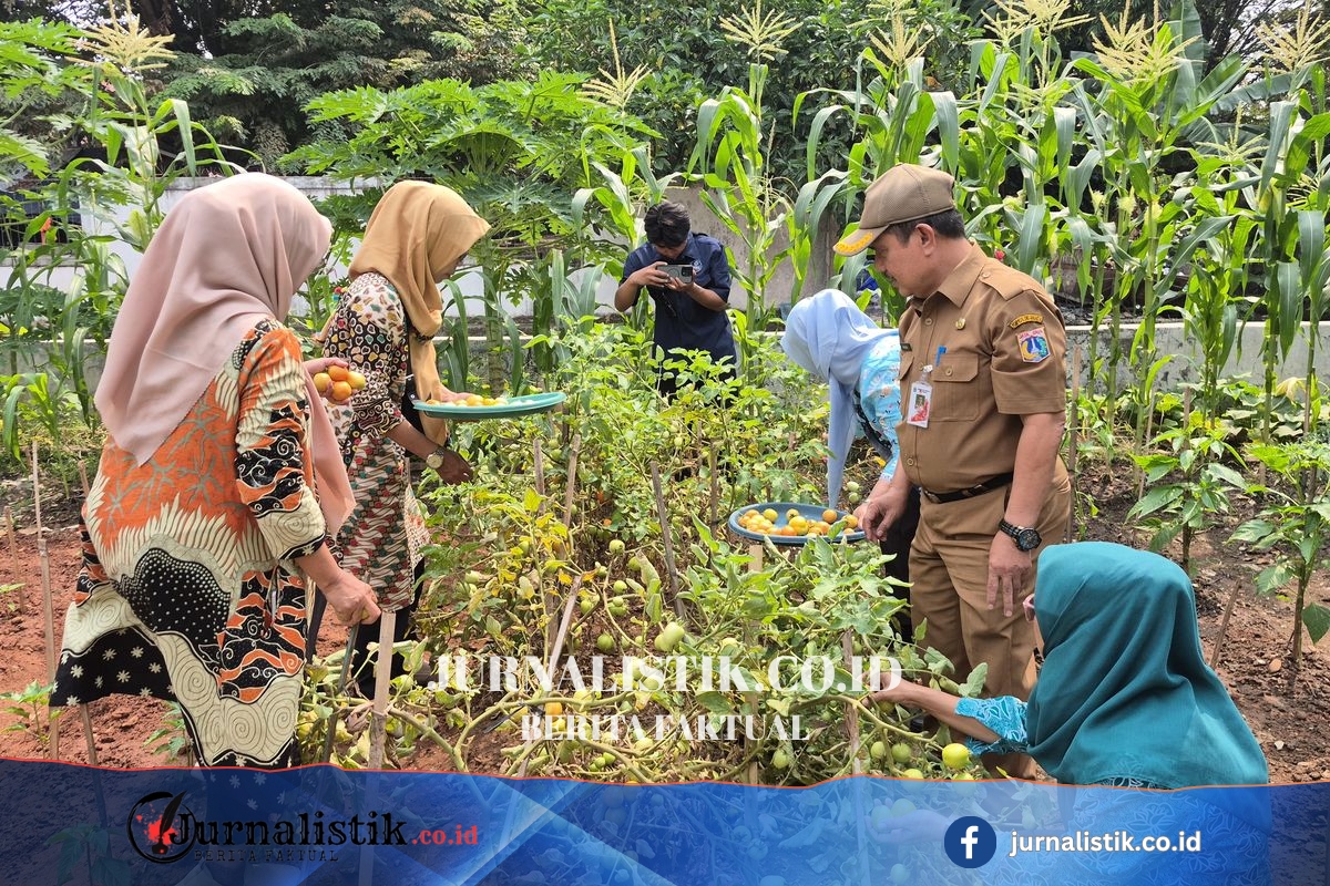 Transformasi Lahan Kumuh di Jakut: Jadi Kebun Produktif yang Hasilkan Sayur Gratis News 22 Juni 2026