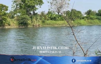 DLHK Banten Telusuri Sumber Pencemaran Sungai Ciujung yang Kembali Menghitam dan Bau Menyengat di Serang