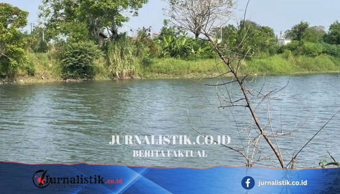 DLHK Banten Telusuri Sumber Pencemaran Sungai Ciujung yang Kembali Menghitam dan Bau Menyengat di Serang