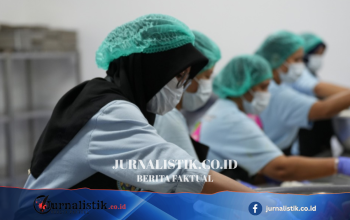 Dugaan Jual-Beli Dapur MBG Menguat, 100 Titik Fiktif Muncul di Sawah hingga Kuburan Regional 24 Juni 2026
