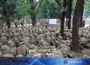 Tak Disiplin Saat Latsarmil, Calon Manajer Kopdes Bisa Dihukum Push Up 10-15 Kali News 25 Juni 2026