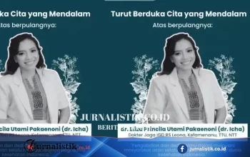 TPDI NTT Desak Pemberhentian 3 Anggota DPRD TTU Terkait Dugaan Intimidasi dr Icha