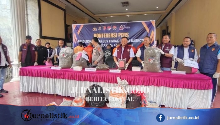 Polda Papua Amankan 151 Tersangka, Sita 38,7 Kg Ganja Siap Edar dalam Jan–Jun 2026