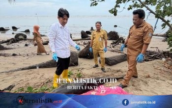 Lumba-lumba Berlukanya Terdampar di Balikpapan, Penyelamatan Dua Kali Berujung Kematian