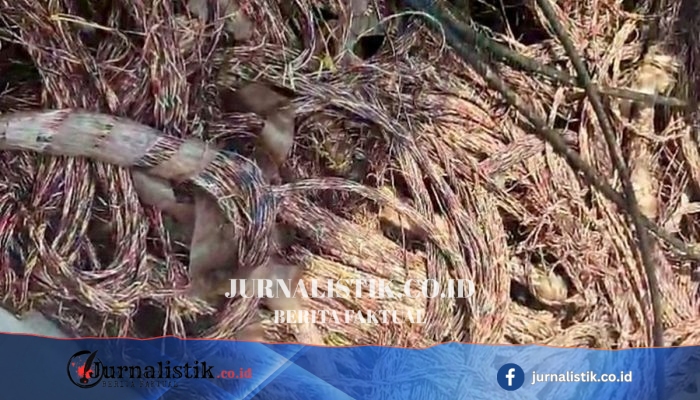 29 Tersangka Pencuri Kabel PT Telkom Dibekuk Polda Lampung, 2 Ton Disita di Lampung Timur