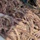 29 Tersangka Pencuri Kabel PT Telkom Dibekuk Polda Lampung, 2 Ton Disita di Lampung Timur