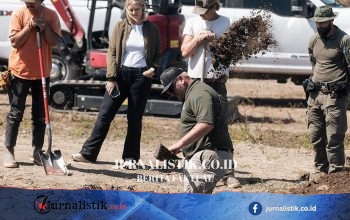 117 Anjing Tewas Ditemukan di Penampungan “No-kill” California, Banyak Alami Luka Tembak