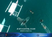 Dua Hari Pelaksanaan PENAS XVII, 475 Orang Kunjungi Hiu Paus
