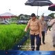 Presiden Prabowo Direncanakan Hadir Puncak Pelaksanaan PENAS XVII di Gorontalo