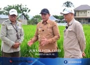 H-9 PENAS XVII, Lokasi Gelar Teknologi Pertanian Terus Disiapkan